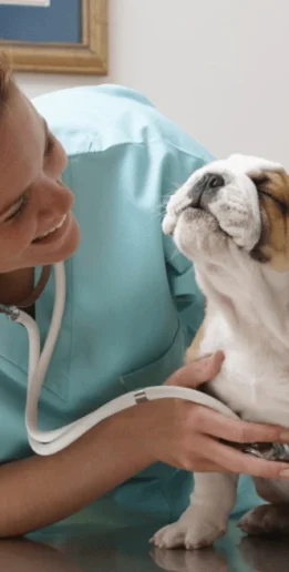 Rectangle 34626755-min